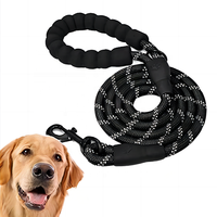 Laisse pour Chien Tressée Ronde Solide et Réfléchissante en Nylon, Multicolore, pour 2024 – Corde pour Chien Perro