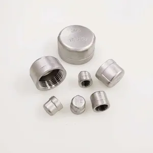 Pipe Fittings Capgenre Premium Cap Fittings