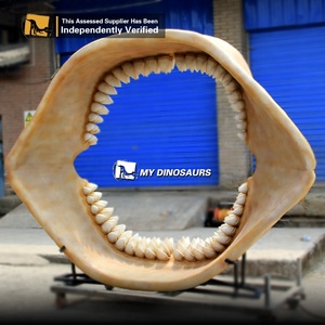 MON DINO Grande Taille Animal Marin Megalodon Dents Et Modèle de Mâchoire Pour Aire De Jeux Intérieure - Product Image 6