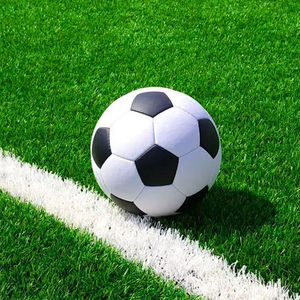 Césped Artificial Ecológico Premium <span class=keywords><strong>de</strong></span> 11000 Dtex con 50 mm <span class=keywords><strong>de</strong></span> Altura <span class=keywords><strong>de</strong></span> Pelo, Césped para Fútbol para Estadios Profesionales y Uso en Patios Traseros - Product Image 1