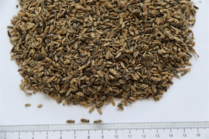 Alimentation Premium pour Tortues et Poissons : Mouches Noires Séchées au Soleil 100% Naturelles, Riches en Protéines, de 0,2 à 0,5 cm, Qualité Supérieure, Directement de l'Usine - Product Image 3