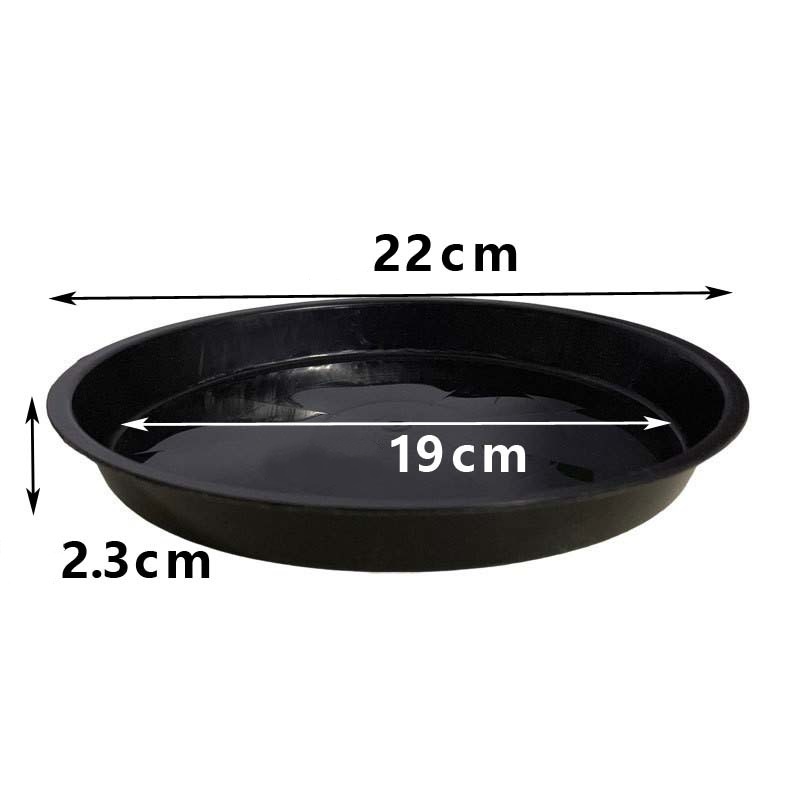 22*19cm