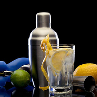 Gobelet en plastique PS personnalisé de 300 ml, écologique, transparent, réutilisable, pour les fêtes, les restaurants, les hôtels, commande en gros, gobelet en plastique