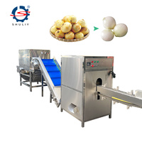 Grote Ui Wortelsnijmachine Fruit-En Groenteverwerkingsfabriek/Uienwortelsnijmachine