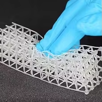 Modèle de reproduction haute précision imprimé en 3D par imprimante DLP3, compatible avec la résine UV, excellente précision