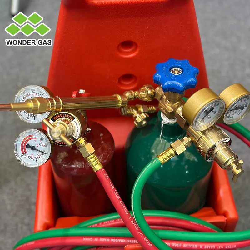 4L Sauerstoff/2L Acetylen tragbar Schweißen und Schneiden Kit mit Schweißgerät Werkzeuge Aufbewahrungskasten Gasschneidtorch