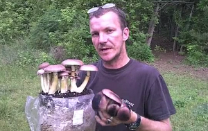 Máquina empaquetadora de bolsas de setas para granja de sustrato - Product Image 2