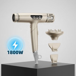 Asciugacapelli Pieghevole Ionico OEM 1800W ad Alta Velocità, Asciugatura Rapida, Bassa Rumorosità, Controllo del Calore, con Logo Personalizzato <span class=keywords><strong>per</strong></span> <span class=keywords><strong>Capelli</strong></span> <span class=keywords><strong>Crespi</strong></span> - Product Image 1