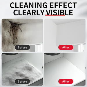 Dissolvant de moules muraux étiquette personnalisée logo usine de fabrication de produits de nettoyage OEM ODM - Product Image 3