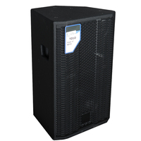 Système audio de studio à bobine vocale en néodyme TD10 10 pouces Performance extérieure Haut-parleur divertissant actif avec impédance 8ohm