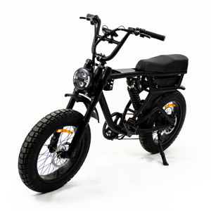 Bicicleta Eléctrica Fatbike para Niños con Doble Suspensión, Neumáticos Gruesos de 20 Pulgadas, Bicicleta Eléctrica de Largo Alcance, Motor de 1000W, Cuadro de Aleación de Aluminio - Product Image 2