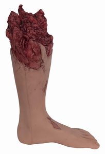 Modelo de Disección Forense de Extremidades Inferiores, Piernas, Silicona Suave Ambiental, Tamaño Real, Anatomía Detallada, Legal, Médico, Anatómico - Product Image 2