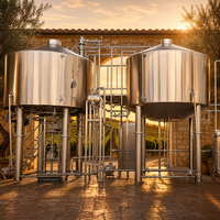 Système de brassage clé en main Tonsen 3000L 30HL, équipement complet de brassage de bière pour microbrasserie et brasserie artisanale, ligne de production de bière artisanale