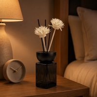 Diffuseur de parfum d'ambiance en verre noir de luxe pour la maison, la chambre et le bureau