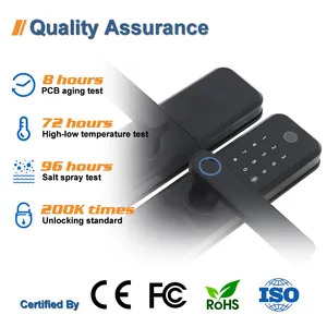 Oem Tuya Ttlock App Door Lock Smart Wifi Bluetooth telecomando Wireless impermeabile per la casa