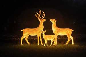 Lámpara LED con Forma de Ciervo, Impermeable IP65, para Jardín, Césped, Decoraciones de Año Nuevo, Navidad, Exterior, de Resina de Fibra de Vidrio - Product Image 1