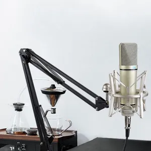 Microphone à condensateur à grand diaphragme, spécial pour Studio  d'enregistrement professionnel, enregistrement et chant, U87