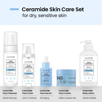 Marque privée Ceramide Acide Hyaluronique Naturel Organique Visage Hydratant En Profondeur Éclaircissant Barrière Réparatrice Visage Spray Toner Peau
