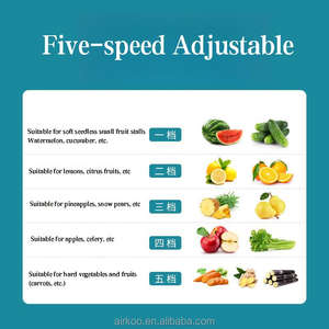 Mesin jus sayuran buah elektrik multifungsi, mesin jus buah, mesin ekstraktor jeruk mulut besar, pembuat jus lambat elektrik, Multifungsi, untuk restoran - Product Image 2