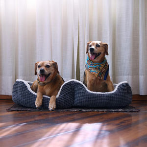 SUREWALHOME Cama Ortopédica para Mascotas, Sofá Cama Súper Suave con Cojín Extraíble para 2 Perros para Compartir Gemelos - Product Image 2