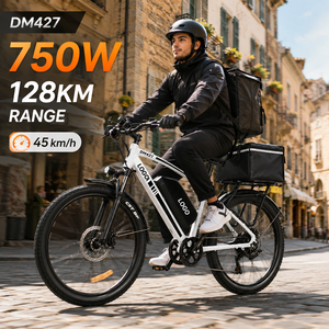 Bicicleta Eléctrica DM427 48V27AH 750W 27.5" de Montaña para Reparto, con 108km de Autonomía para Entrega de Comida - Product Image 1