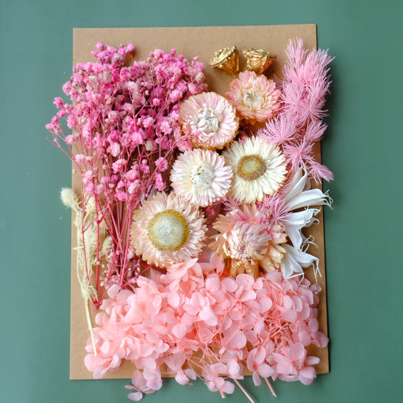Fleur séchée#13