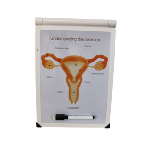 Órganos reproductivos femeninos Útero Entendiendo la inserción - Product Image 1