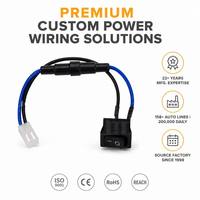 Harnais de câblage électronique OEM ODM avec conducteurs en cuivre pur PTFE/PVC/Nylon/Caoutchouc, indice de protection IP67 pour carte de commande automobile