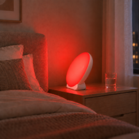 Lampu Malam LED Hadiah yang Bagus dengan 5 Mode Warna, Peredupan 5 Tingkat, Timer, Lampu Aksen Dekoratif untuk Kamar Tidur Ruang Tamu