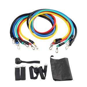 Portable Multifunctional Durable <b>Resistance</b> <b>Band</b> 11-Piece Tension Antislip Rope <b>Set</b> 100lb <b>Resistance</b> <b>Band</b> <b>Set</b> for Fitness - Product Image 1