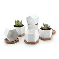 Pot de fleurs en céramique blanche pour plantes succulentes avec plateau en bambou, décoration