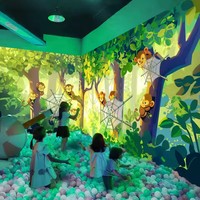 Projecteur mural interactif à installation personnalisée Écran mural tactile en métal pour l'éducation Projection de jeux interactifs sur terrain de jeu