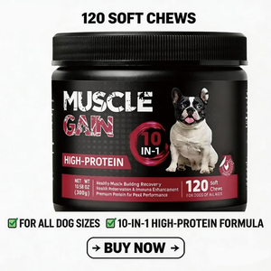 Golosinas Masticables Suaves para Ganancia Muscular, Personalizadas al por Mayor, para Todos los Perros, Favorecen el Desarrollo Muscular, Mejoran la Composición Corporal, Constructor Muscular - Product Image 5