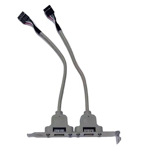 Câble d'extension USB 2.0 double port pour carte mère, gaine PVC, blindage en feuille, 5 broches, plaqué or, garantie 12 mois - Product Image 1