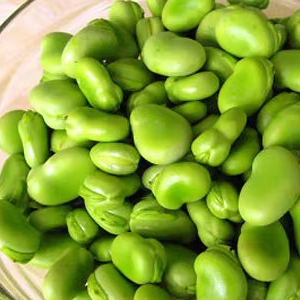 Fave Verdi Fresche Surgelate di Alta Qualità, Biologiche, Certificate Halal, Pelate - Product Image 3