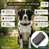 Traceur GPS pour animaux de compagnie G58 4G+2G, design élégant, connectivité 4G, suivi de localisation précis, historique des itinéraires