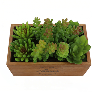 Mini Succulente Artificielle avec Texture Réaliste, Boîte en Bois, Plante Succulente Artificielle en Pot, Végétation Décorative en Pot pour la Décoration de la Chambre - Product Image 2