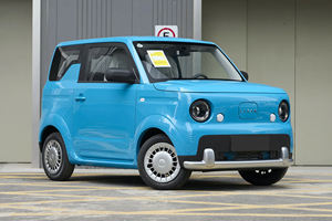 中国汽车廉价二手新车2025新能源汽车自动利文蓝色气球小型微型电动汽车待售 - Product Image 2