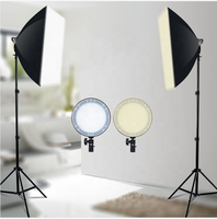 Photographie professionnelle Softbox Kit de lumière LED Kit de studio avec 3 températures de couleur pour la vie de film