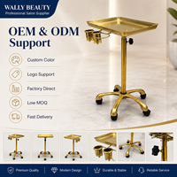 Plateau de travail mobile en acier inoxydable de haute qualité pour tatouage, réglable en hauteur, avec roulettes pour salon