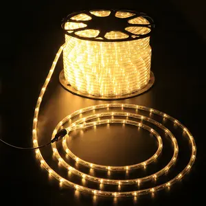 Factory Direct Sale Flashing Rope Light 100m Led Rope Lights Waterproof Outdoor Decoration