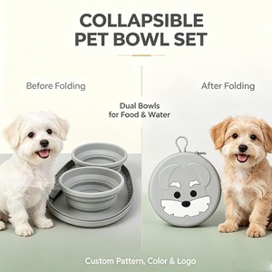 Écologique Mignon Voyage Pliable Silicone Chien Bol D'eau 2 Pièces Portable Ensemble Zipper Sac Nouveauté Conception Portable Pet Voyage - Product Image 2
