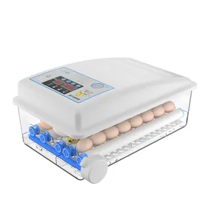 Incubatori automatici all'ingrosso uova da cova ac e dc mini 22 uova di pollo incubatrice per uova da cova prezzo