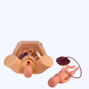 Doğum sırasında ebelik öğretmek için doğum modeli için gelişmiş kapsamlı beceri eğitim modeli - Product Image 3