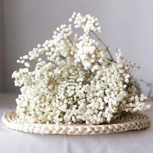 500g Fleurs Séchées Naturelles Gypsophile Préservée Vente <span class=keywords><strong>en</strong></span> Gros Bouquet Personnalisé pour Décoration de Bureau, Fête et Couronne - Product Image 4