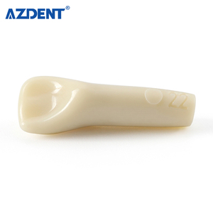 Modello Dentale Tipodonto Compatibile con Frasaco <span class=keywords><strong>AG3</strong></span> Tipo 32, Set di Denti Rimovibili per Pratica di Preparazione e Riparazione Carie - Product Image 4
