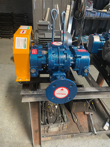 Souffleur de racines électrique AC en fonte haute pression double haute efficacité faible niveau sonore OEM - Product Image 4