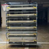 Nouvelles cages à oiseaux chinoises pour cailles / Cage à batterie pour cailles avec système d'alimentation, antirouille, durable, type H, longue durée de vie