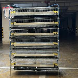 Nouvelles cages à oiseaux chinoises pour cailles / Cage à batterie pour cailles avec système d'alimentation, antirouille, durable, type H, longue durée <span class=keywords><strong>de</strong></span> vie - Product Image 6