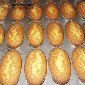 Machine automatique multifonctionnelle pour cupcakes, glaces et mochis - Product Image 5